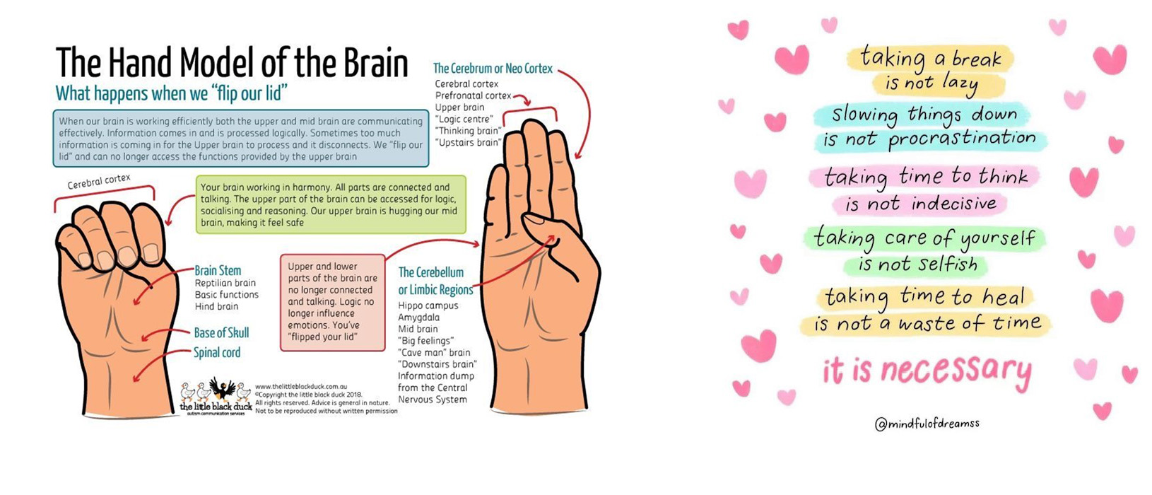 The hand model of the brain, and some reminders to yourself.